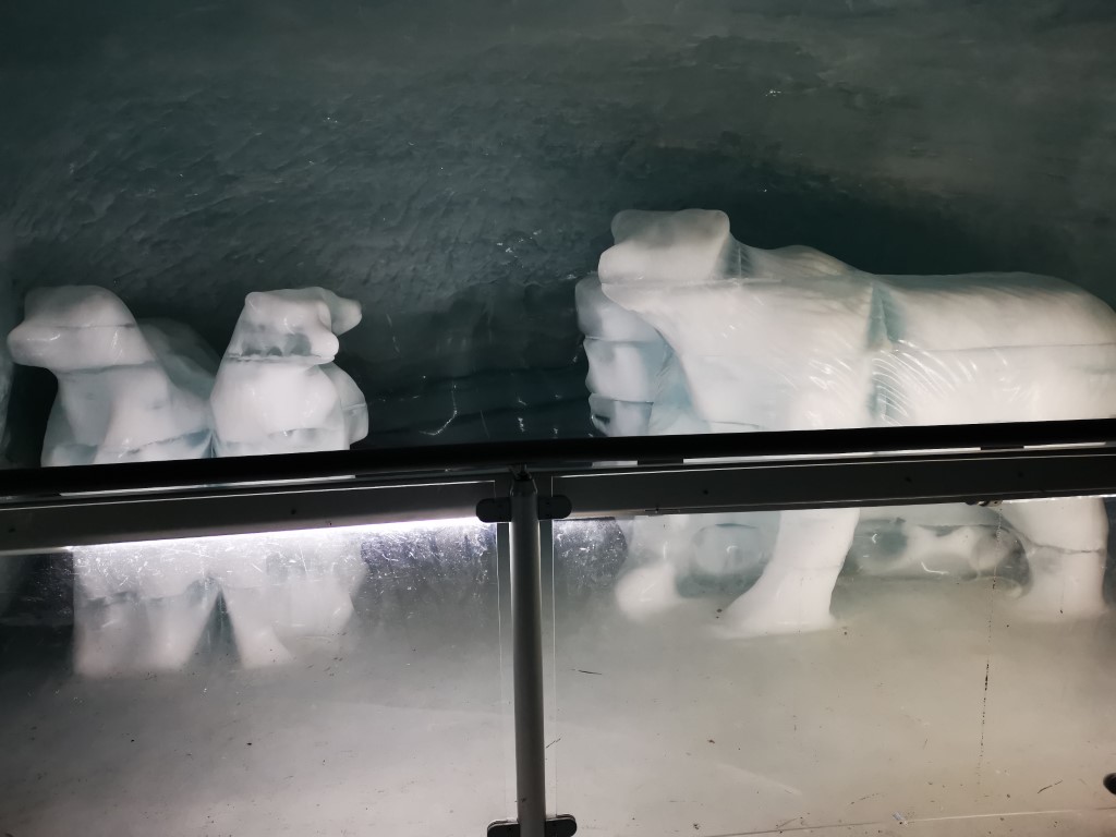 D4: Jungfraujoch | 瑞士好好露 | 旅遊 露營 跑山 跑步 運動 水上活動 | Hidy Chan | hidychan.com