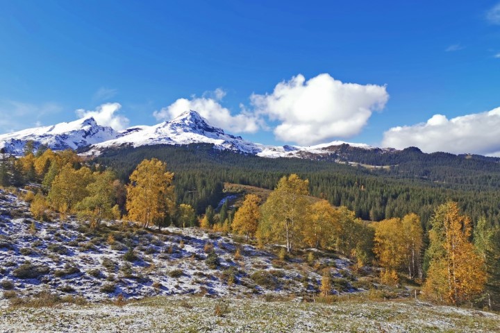 D4: Kleine Scheidegg > Grindelwald | 瑞士好好露 | 旅遊 露營 跑山 跑步 運動 水上活動 | Hidy Chan | hidychan.com