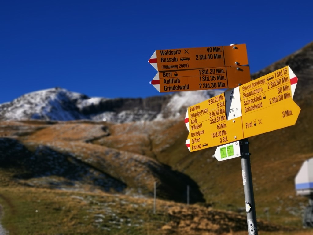 D5: Bachalpsee | 瑞士好好露 | 旅遊 露營 跑山 跑步 運動 水上活動 | Hidy Chan | hidychan.com