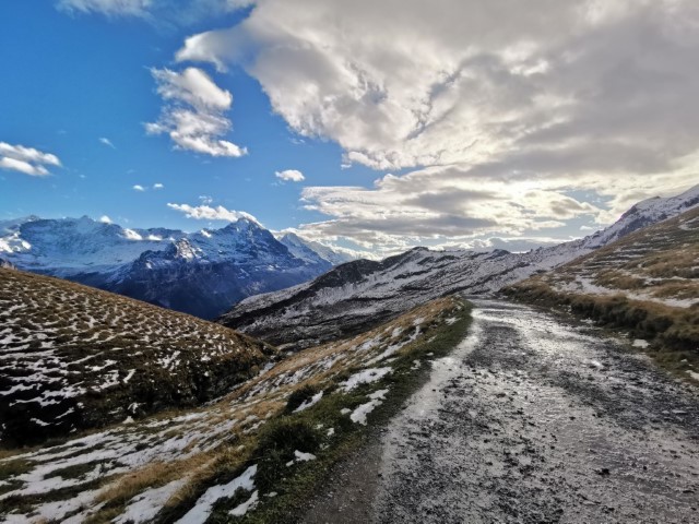 D5: Bachalpsee | 瑞士好好露 | 旅遊 露營 跑山 跑步 運動 水上活動 | Hidy Chan | hidychan.com
