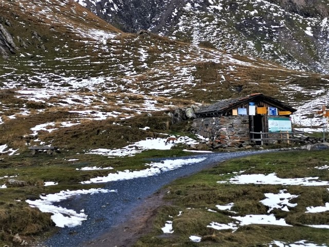 D5: Bachalpsee | 瑞士好好露 | 旅遊 露營 跑山 跑步 運動 水上活動 | Hidy Chan | hidychan.com