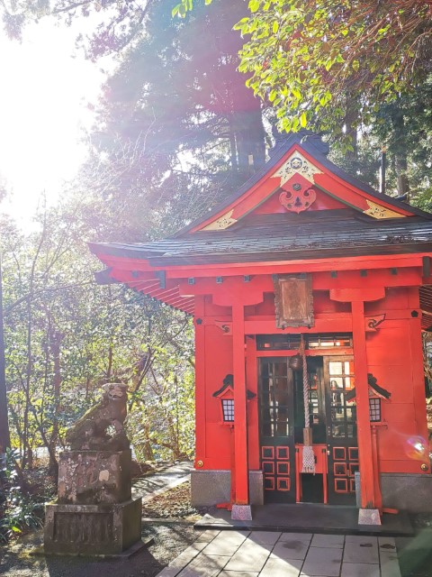 D10: 箱根神社 | 雪山•滑雪•露營•瘋狂玩盡日本 | 旅遊 露營 跑山 跑步 運動 水上活動 | Hidy Chan | hidychan.com