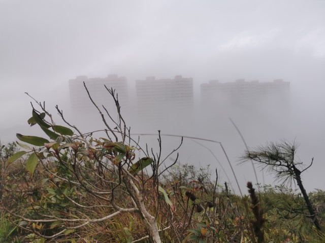  | Compressport Virtual Run | 旅遊 露營 跑山 跑步 運動 水上活動 | Hidy Chan | hidychan.com