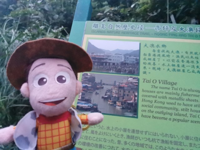  | 鳳徑全走 | 旅遊 露營 跑山 跑步 運動 水上活動 | Hidy Chan | hidychan.com