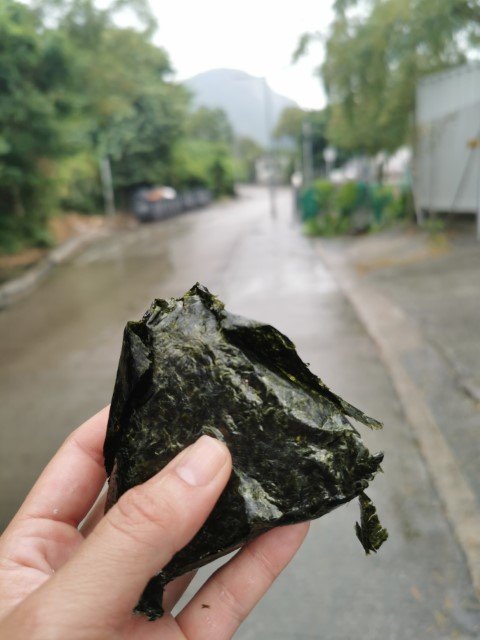  | 鳳徑全走 | 旅遊 露營 跑山 跑步 運動 水上活動 | Hidy Chan | hidychan.com