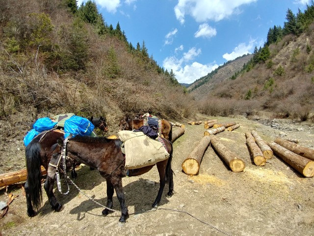 第三日 | 四川露營人在野 | 旅遊 露營 跑山 跑步 運動 水上活動 | Hidy Chan | hidychan.com