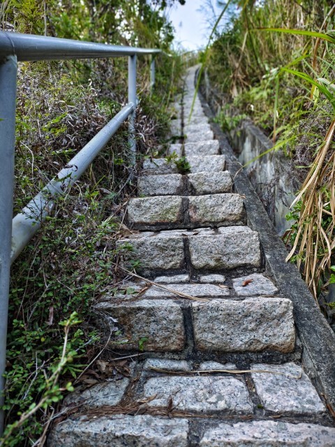  | 大澳四靈獸 | 旅遊 露營 跑山 跑步 運動 水上活動 | Hidy Chan | hidychan.com