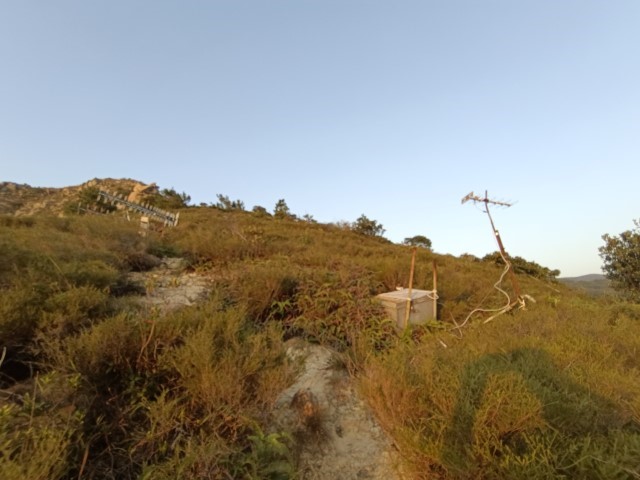  | 大澳四靈獸 | 旅遊 露營 跑山 跑步 運動 水上活動 | Hidy Chan | hidychan.com