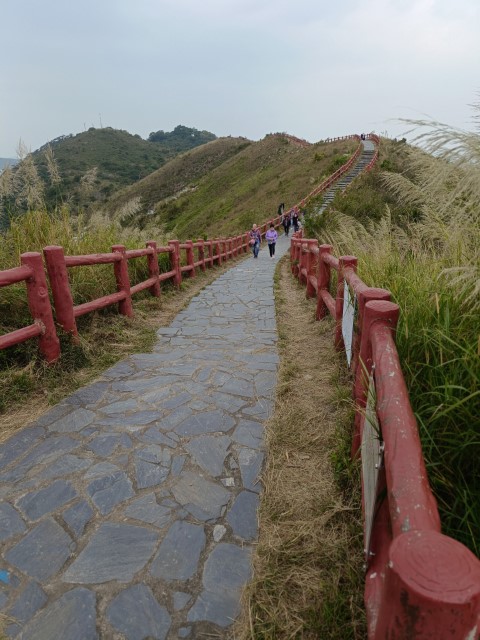  | 大澳四靈獸 | 旅遊 露營 跑山 跑步 運動 水上活動 | Hidy Chan | hidychan.com