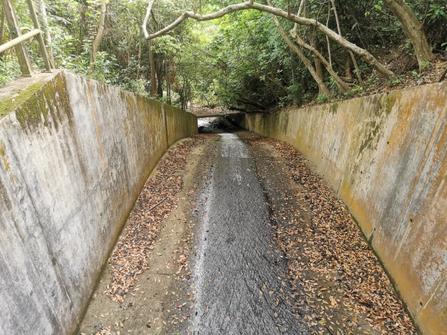  | 環港島慢跑 | 旅遊 露營 跑山 跑步 運動 水上活動 | Hidy Chan | hidychan.com