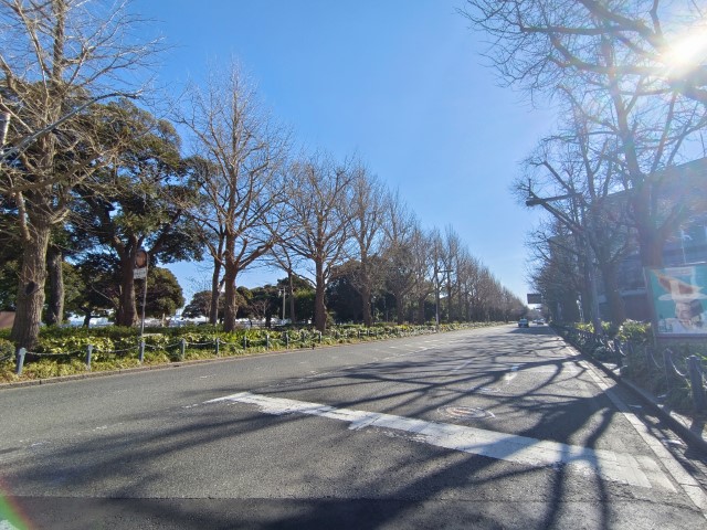 D3: 橫濱 | 日本赤岳雪山之旅 | 旅遊 露營 跑山 跑步 運動 水上活動 | Hidy Chan | hidychan.com