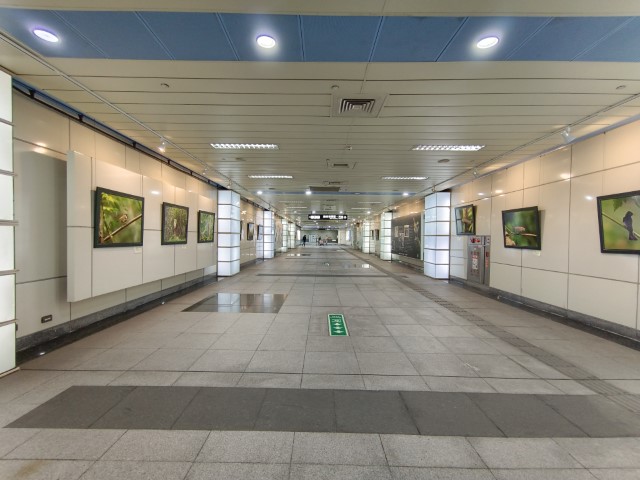 香港>高雄 | 一個女生台灣四極逆走機車環島遊 | 旅遊 露營 跑山 跑步 運動 水上活動 | Hidy Chan | hidychan.com