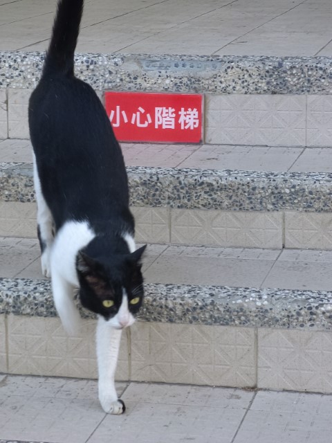 高雄>墾丁 | 一個女生台灣四極逆走機車環島遊 | 旅遊 露營 跑山 跑步 運動 水上活動 | Hidy Chan | hidychan.com