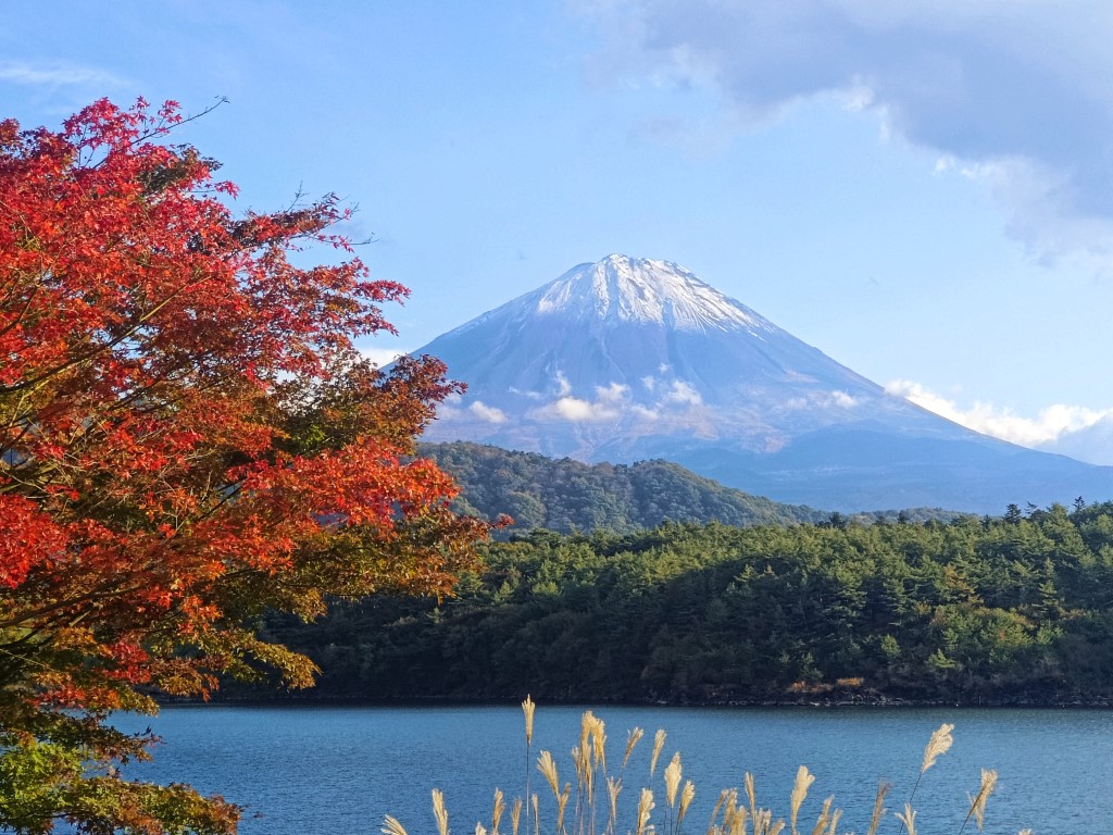 田貫湖>本栖湖>精進湖>西湖 | 六條蛋散富士山自駕遊 | 旅遊 露營 跑山 跑步 運動 水上活動 | Hidy Chan | hidychan.com