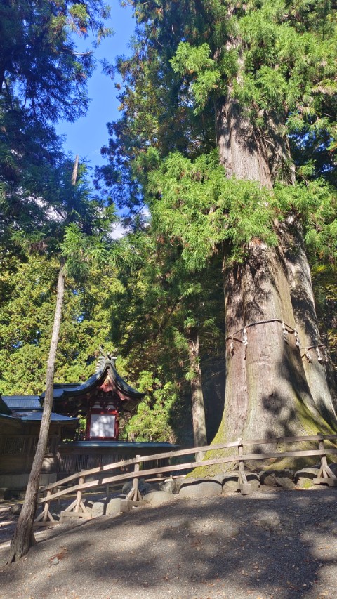 河口湖 (Villa) | 六條蛋散富士山自駕遊 | 旅遊 露營 跑山 跑步 運動 水上活動 | Hidy Chan | hidychan.com