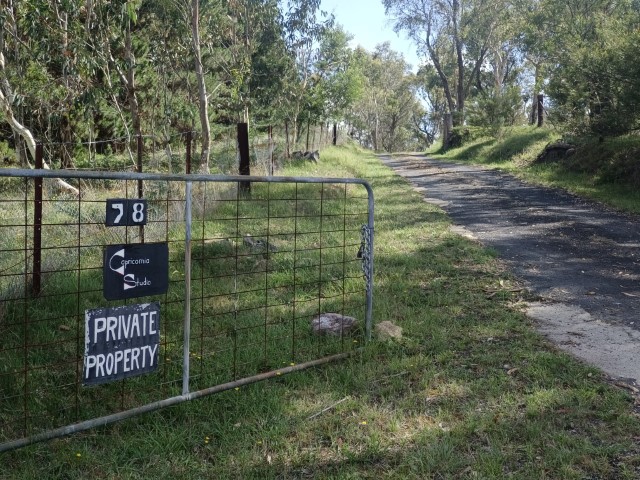 Mudgee | 首次南半球之澳洲電單車露營遊 | 旅遊 露營 跑山 跑步 運動 水上活動 | Hidy Chan | hidychan.com