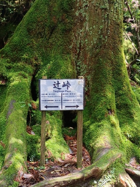 D1: 白谷山荘 > 太鼓岩 | 玩盡日本全九州 | 旅遊 露營 跑山 跑步 運動 水上活動 | Hidy Chan | hidychan.com