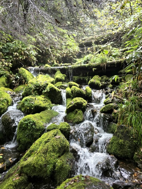 D2: 橫尾山莊>槍沢ロッヂ | 槍ヶ岳 • 名古屋 • 伊勢 • 志摩 | 旅遊 露營 跑山 跑步 運動 水上活動 | Hidy Chan | hidychan.com