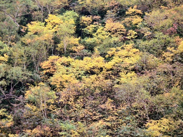 D2: 槍沢ロッヂ>槍岳山莊 | 槍ヶ岳 • 名古屋 • 伊勢 • 志摩 | 旅遊 露營 跑山 跑步 運動 水上活動 | Hidy Chan | hidychan.com