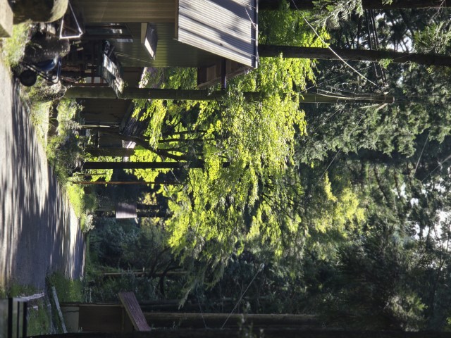 鳥居道山キャンプ場 | 槍ヶ岳 • 名古屋 • 伊勢 • 志摩 | 旅遊 露營 跑山 跑步 運動 水上活動 | Hidy Chan | hidychan.com