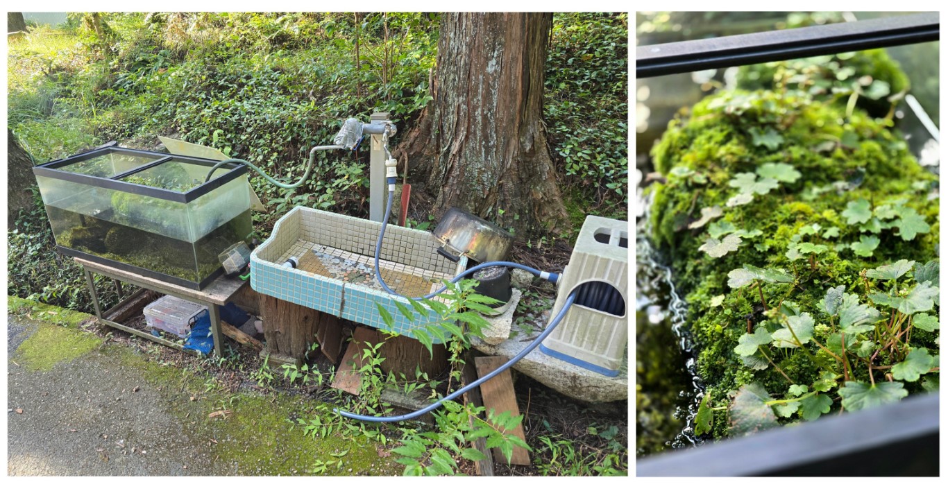 鳥居道山キャンプ場 | 槍ヶ岳 • 名古屋 • 伊勢 • 志摩 | 旅遊 露營 跑山 跑步 運動 水上活動 | Hidy Chan | hidychan.com