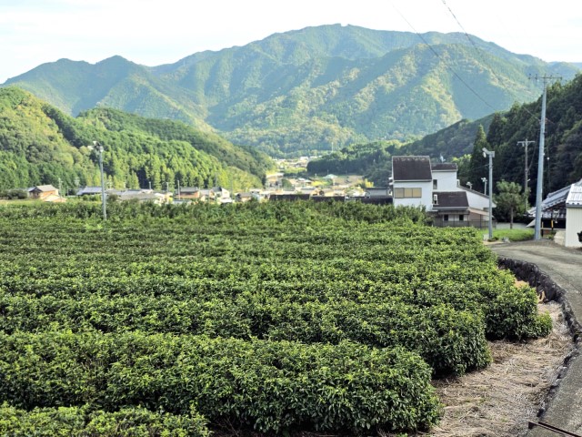Fukano梯田 | 槍ヶ岳 • 名古屋 • 伊勢 • 志摩 | 旅遊 露營 跑山 跑步 運動 水上活動 | Hidy Chan | hidychan.com