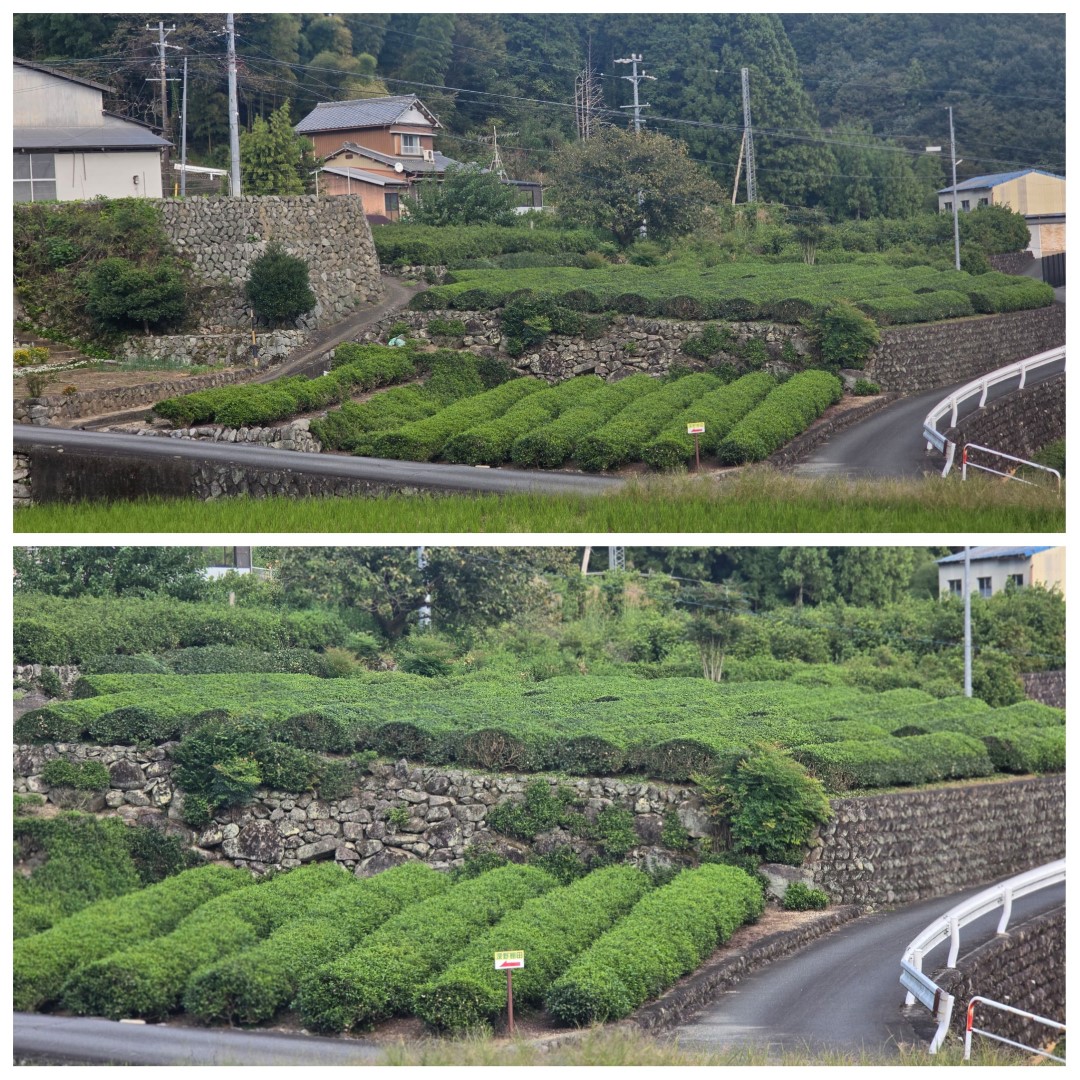 Fukano梯田 | 槍ヶ岳 • 名古屋 • 伊勢 • 志摩 | 旅遊 露營 跑山 跑步 運動 水上活動 | Hidy Chan | hidychan.com