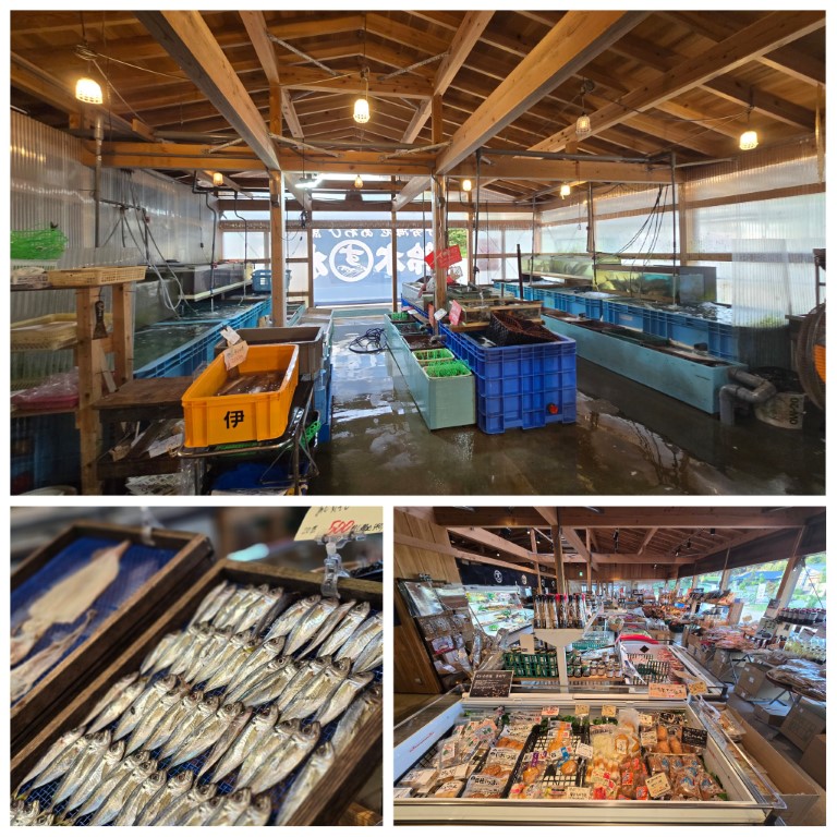 大淀ふれあいキャンプ場 | 槍ヶ岳 • 名古屋 • 伊勢 • 志摩 | 旅遊 露營 跑山 跑步 運動 水上活動 | Hidy Chan | hidychan.com