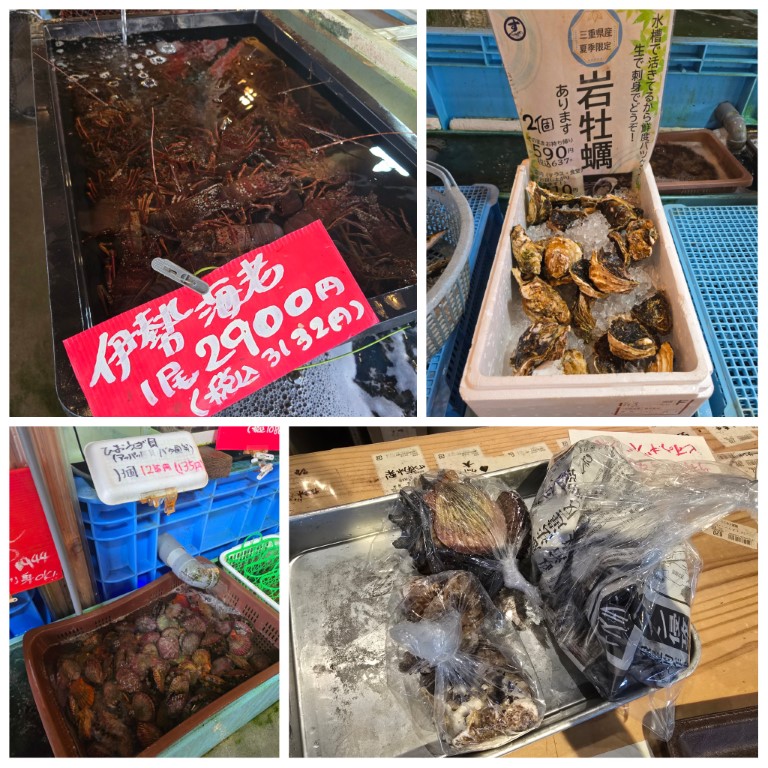 大淀ふれあいキャンプ場 | 槍ヶ岳 • 名古屋 • 伊勢 • 志摩 | 旅遊 露營 跑山 跑步 運動 水上活動 | Hidy Chan | hidychan.com