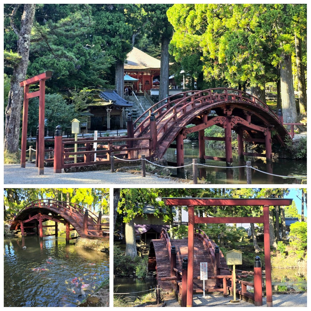 伊勢Skyline | 槍ヶ岳 • 名古屋 • 伊勢 • 志摩 | 旅遊 露營 跑山 跑步 運動 水上活動 | Hidy Chan | hidychan.com