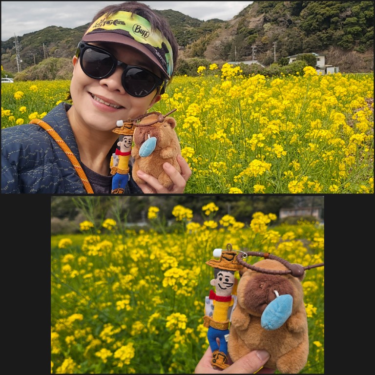 伊豆西 | 首次自駕Camper Van | hidychan.com