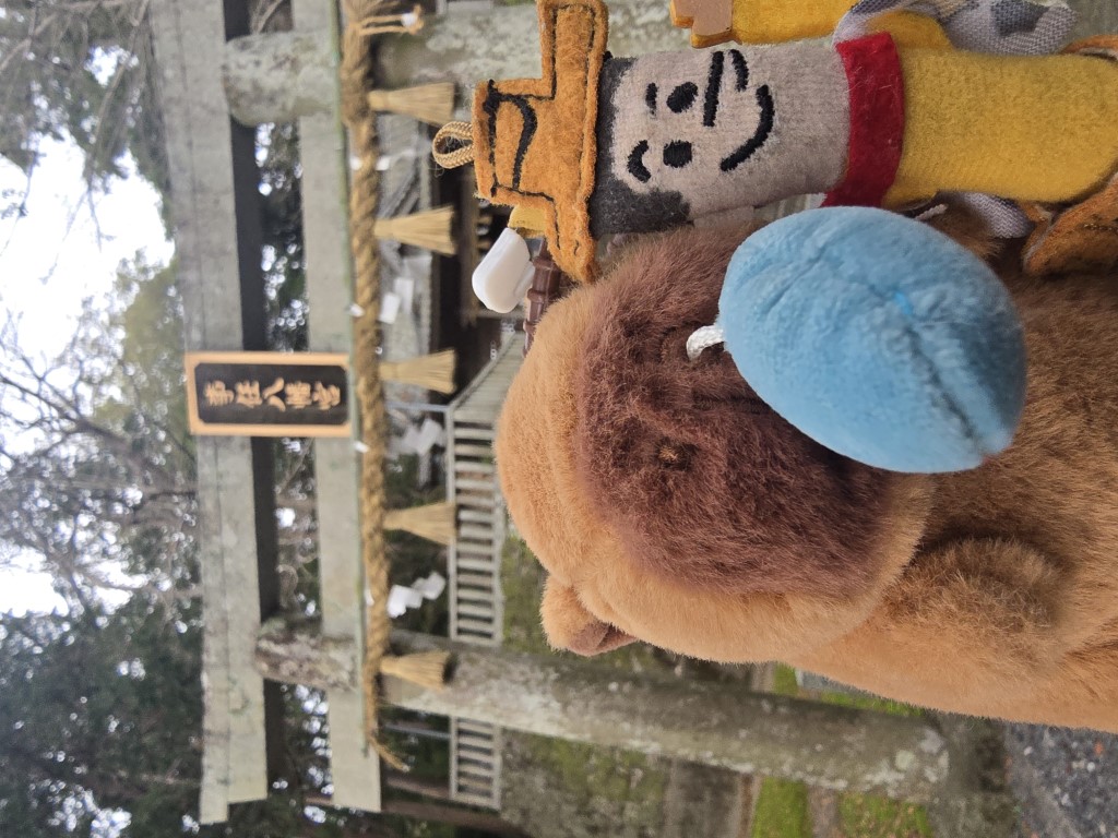 川根本 | 首次自駕Camper Van | hidychan.com