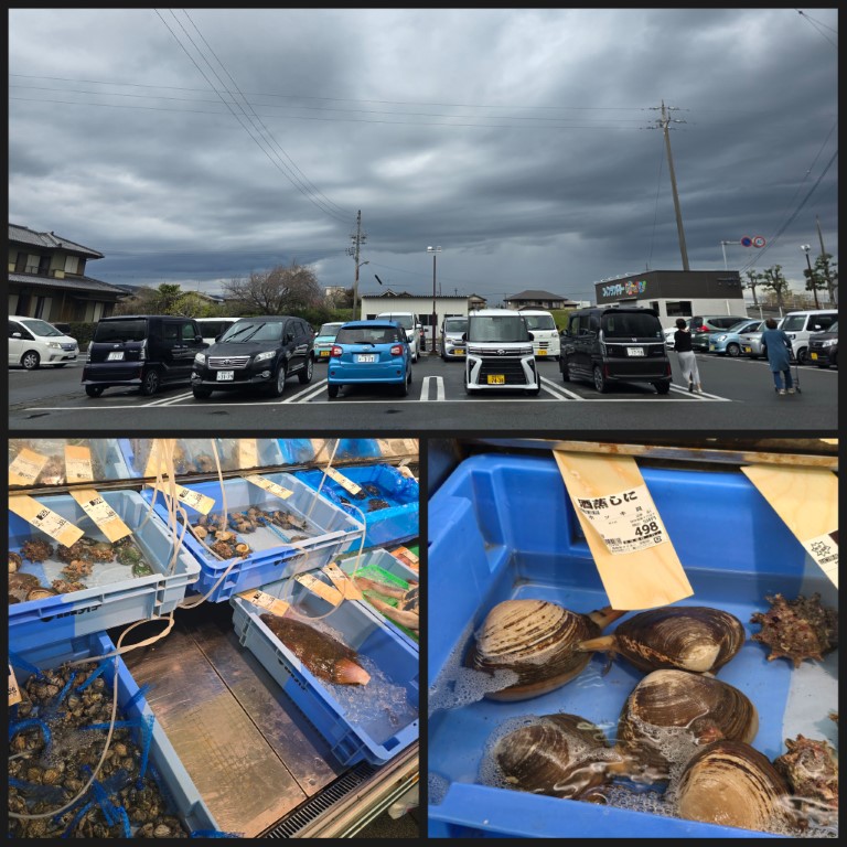 川根本 | 首次自駕Camper Van | hidychan.com