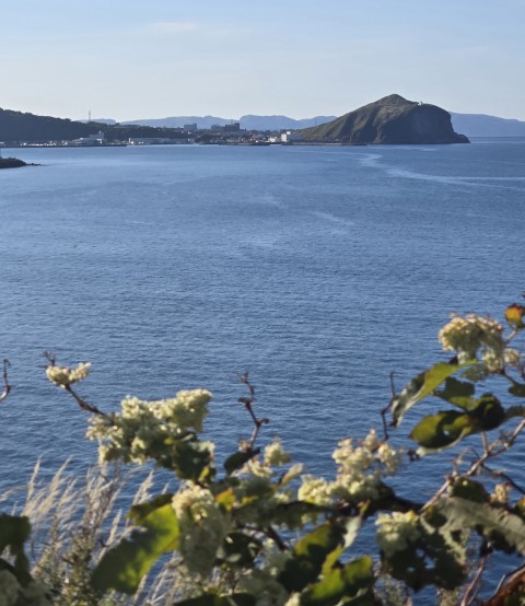 利尻島尾半圈 | 有一種增肥叫北海道 | hidychan.com