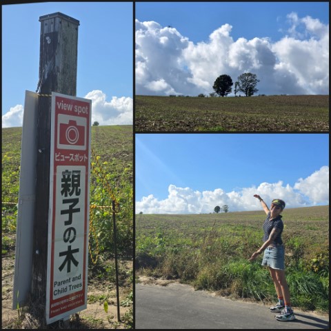 美瑛 | 有一種增肥叫北海道 | hidychan.com