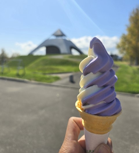 美瑛 | 有一種增肥叫北海道 | hidychan.com