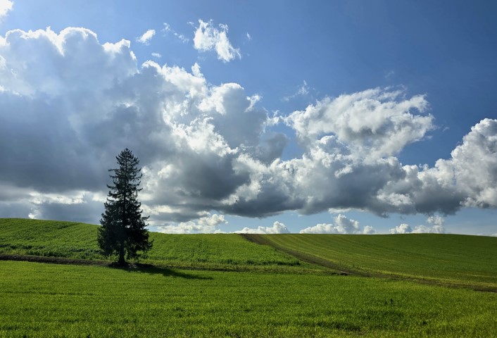 美瑛 | 有一種增肥叫北海道 | hidychan.com
