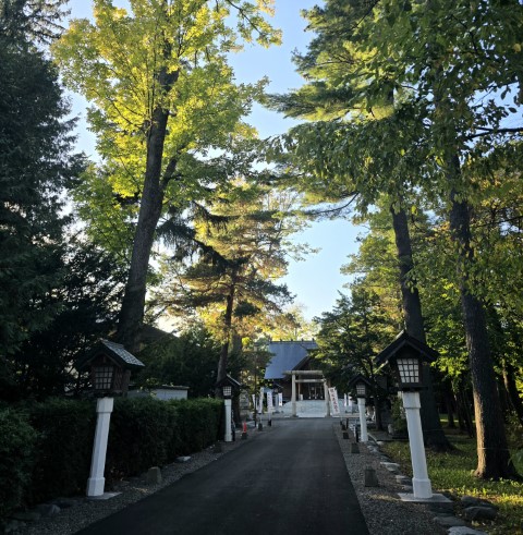 富良野 | 有一種增肥叫北海道 | hidychan.com