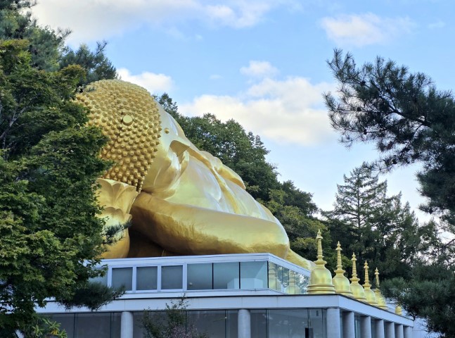 頭大仏殿 | 有一種增肥叫北海道 | hidychan.com