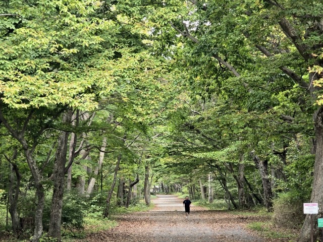 D11 札幌>香港 | 有一種增肥叫北海道 | hidychan.com