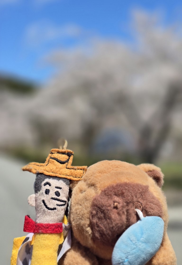 富山市 | 五條蛋散自駕名古屋立山 | hidychan.com