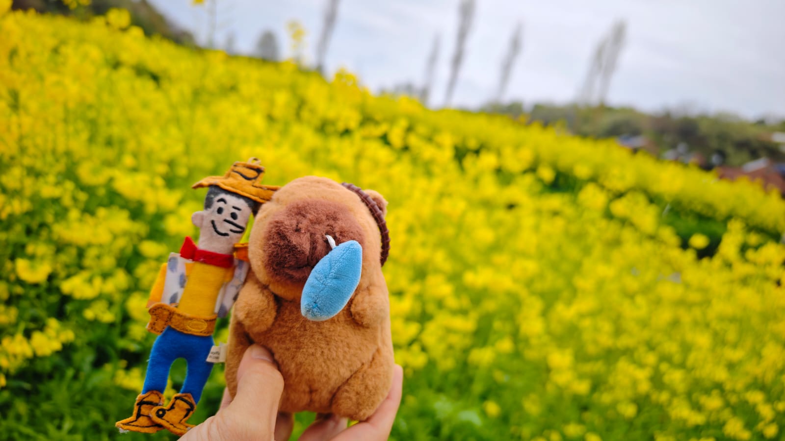 富山市 | 五條蛋散自駕名古屋立山 | hidychan.com