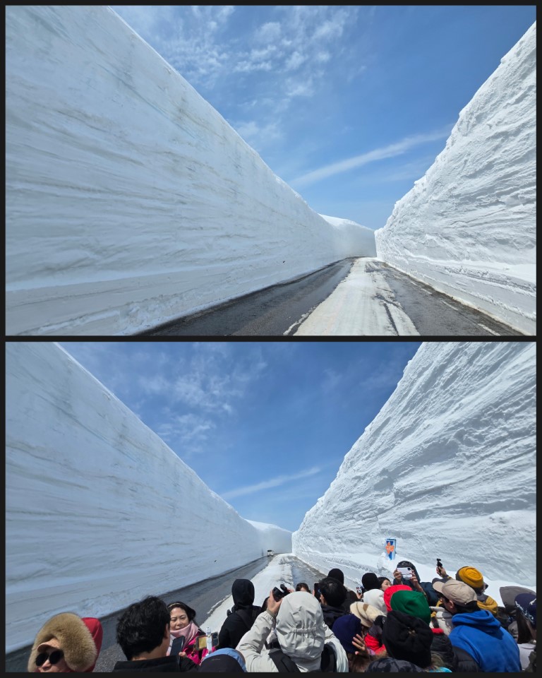 室堂雪牆 | 五條蛋散自駕名古屋立山 | hidychan.com