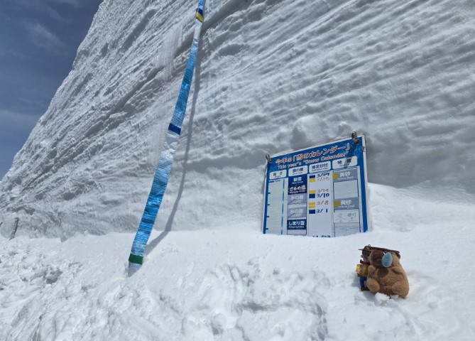 室堂雪牆 | 五條蛋散自駕名古屋立山 | hidychan.com