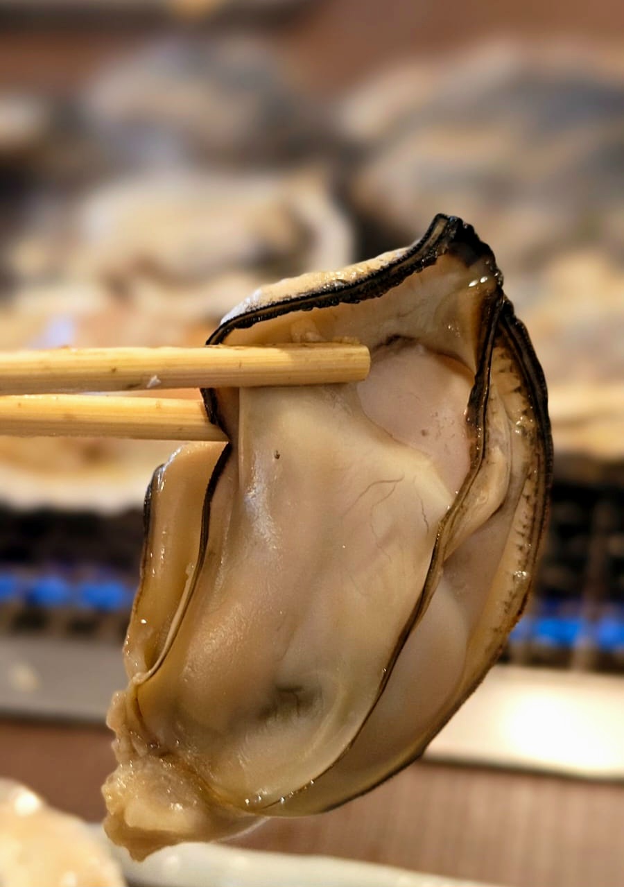 海鮮蠔餐 | 五條蛋散自駕名古屋立山 | hidychan.com