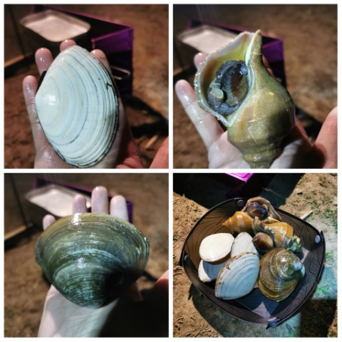  | 海鮮/肉肉 | 露營食物 | hidychan.com