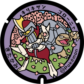 日本Pokemon渠蓋