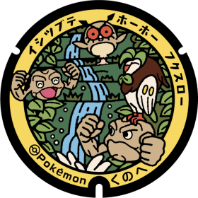 日本Pokemon渠蓋