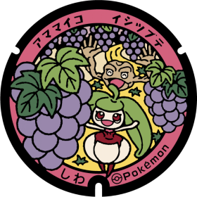 日本Pokemon渠蓋