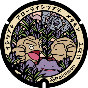 日本Pokemon渠蓋
